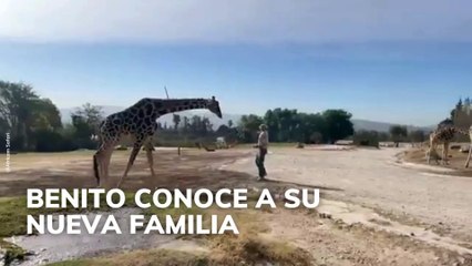 Benito conoce a su nueva familia