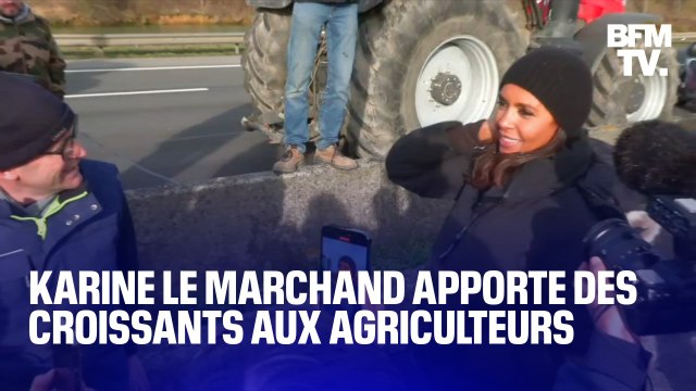 Karine Le Marchand apporte des croissants aux agriculteurs sur l'A4