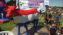 Proteste degli agricoltori, nel mirino (anche) le politiche dell'Ue