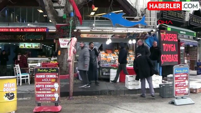 BALIKÇININ AĞINA, 75 KİLOLUK YAYIN BALIĞI TAKILDI