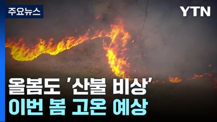 [날씨] "산불, 올해도 심상찮다...사전 억제·AI 감시 확대" / YTN