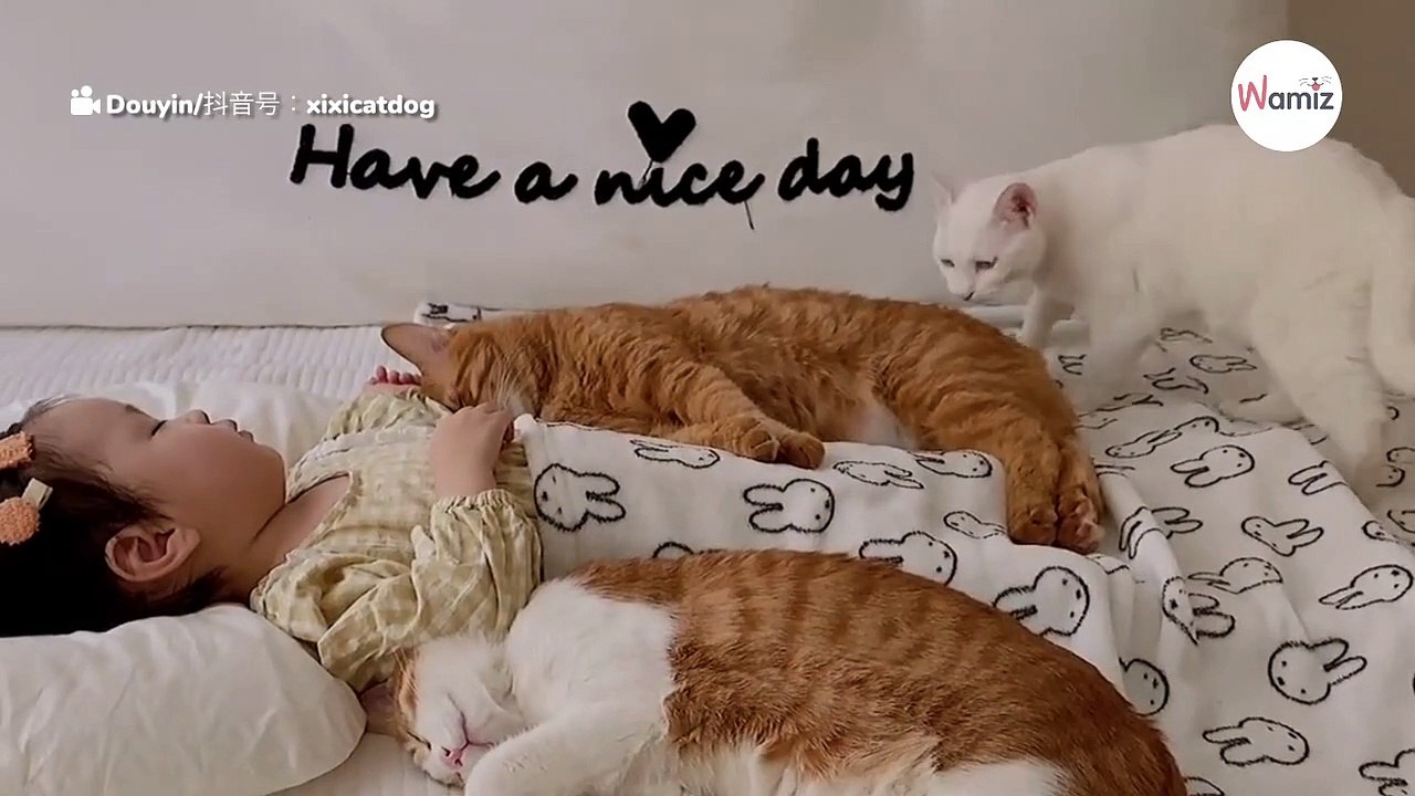 Mädchen schläft friedlich: Auf einmal wird es von allen Seiten überfallen!