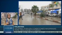 Gazatíes viven en condiciones inhumanas por el desplazamiento forzado