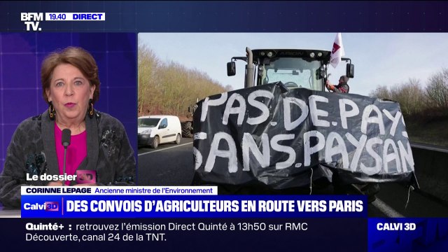 Mobilisation des agriculteurs: On arrive au bout d'un système , pour l'ancienne ministre de l'Environnement, Corinne Lepage
