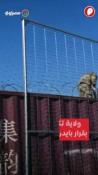ولاية تكساس تضرب بقرار بايدن عرض الحائط تقيم سياج على الحدود من الأسلاك الشائكة.