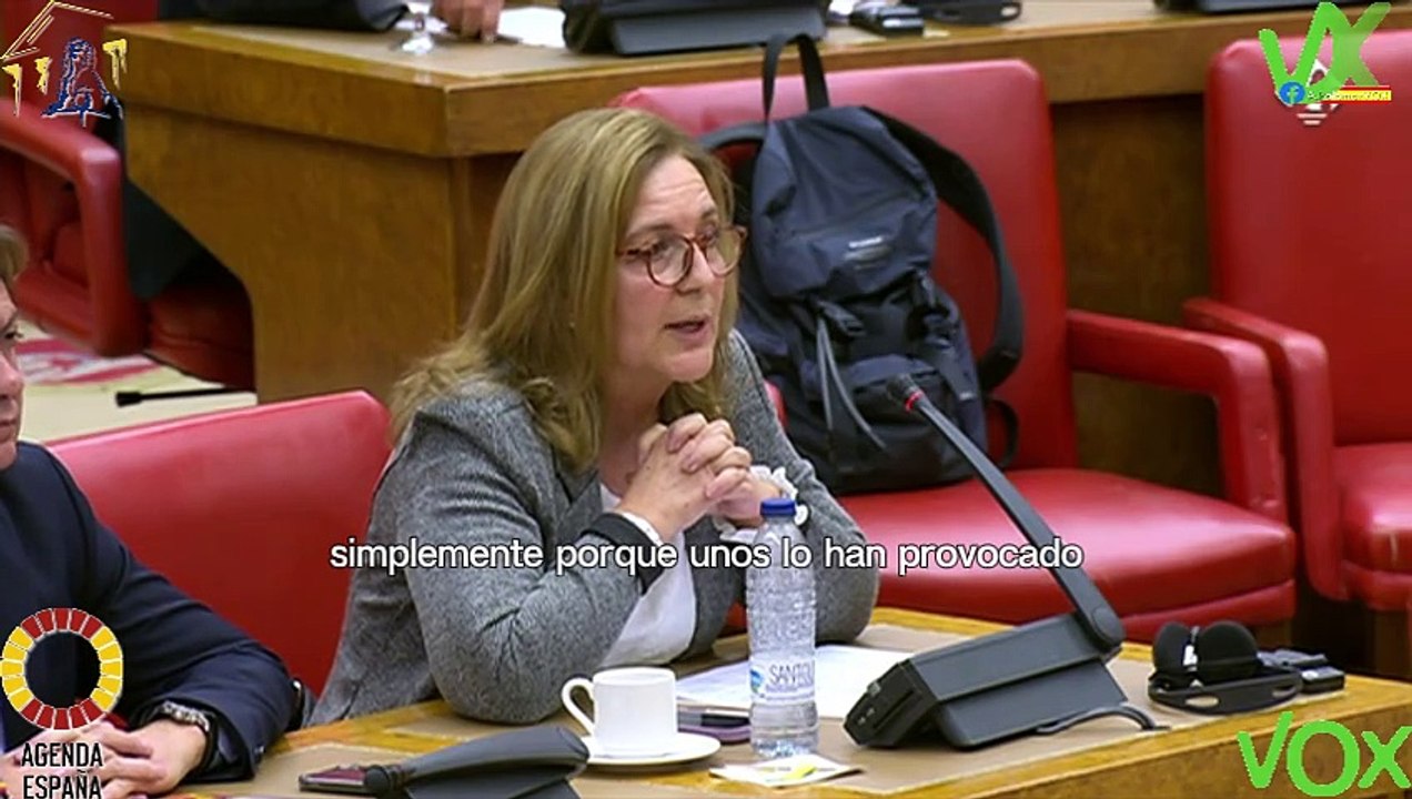 Carina Mejías. Comisión de Política Territorial. 29.01.2024