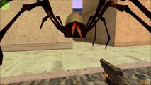 Counter-strike 1.6 - Chicken Skins - Spider, Skull