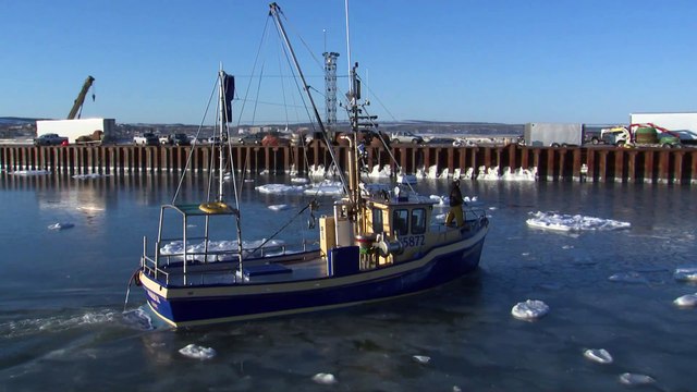 29 janv TOPO FC Suivi annonce peche sebaste