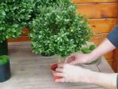 boule de buis artificiel sur tronc sur Deco Factory