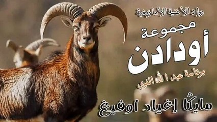 Oudaden - Mayga Igh Yad Ofigh (EXCLUSIVE) _ 2023 _  مجموعة أودادن - مايڭا إغياد أوفيغ(360P)