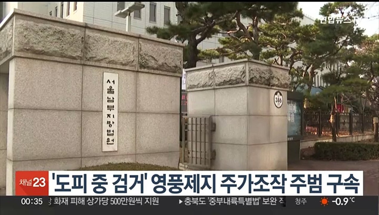 도피 중 검거된 '영풍제지 주가조작' 주범 구속