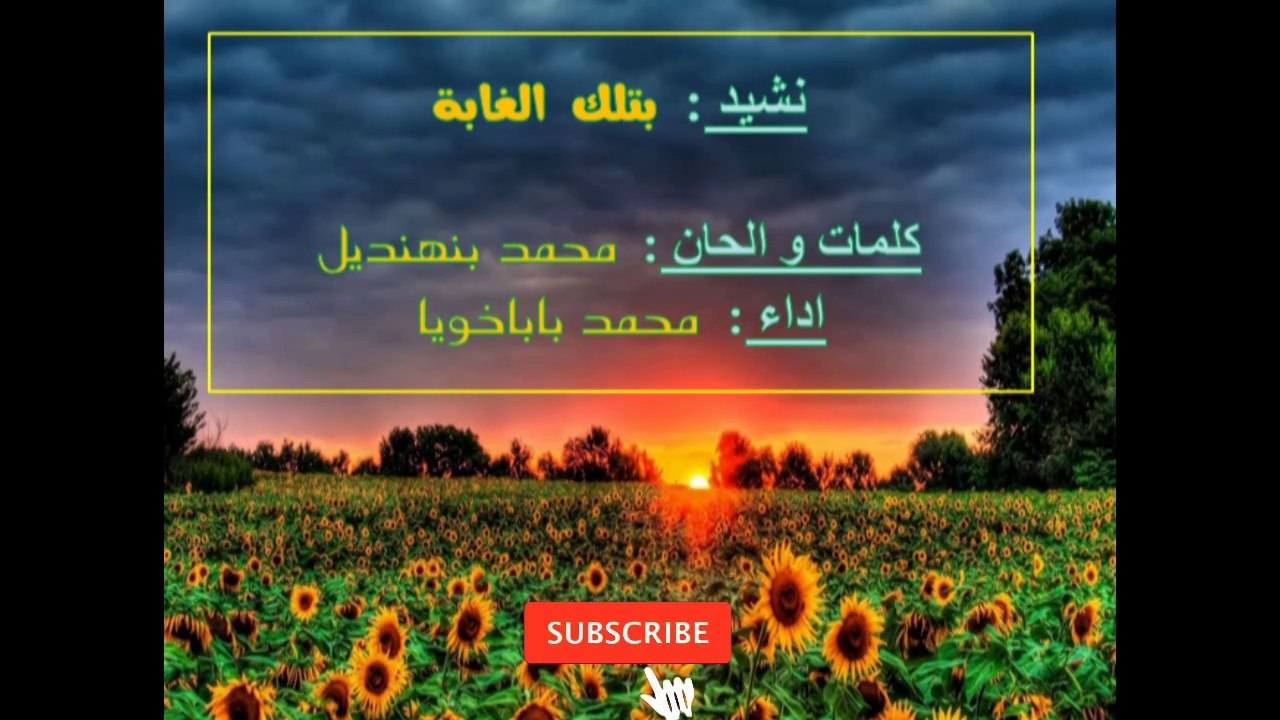 نشيد من تلك الغابة / اناشيد تربوية/ اناشيد المساء / التنشيط التربوي
