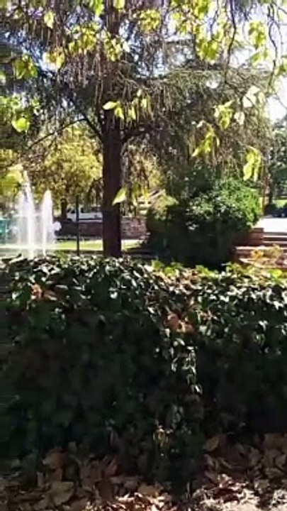 بلادي المغرب إفران Ifrane Maroc morocco Afrique CAN Canada France Angleterre india