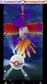 Pokémon GO-Shadow Ho-Oh