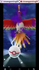 Pokémon GO-Shadow Ho-Oh