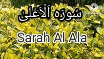 Surah Al Ala | Surat ul ala | Learn Quran