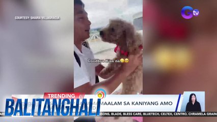 Aso, hirap sa pamamaalam sa kaniyang amo na mag-a-abroad | BT