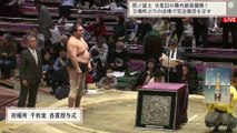 Terunofuji Yusho Award ceremony - Hatsu 2024, Day 15