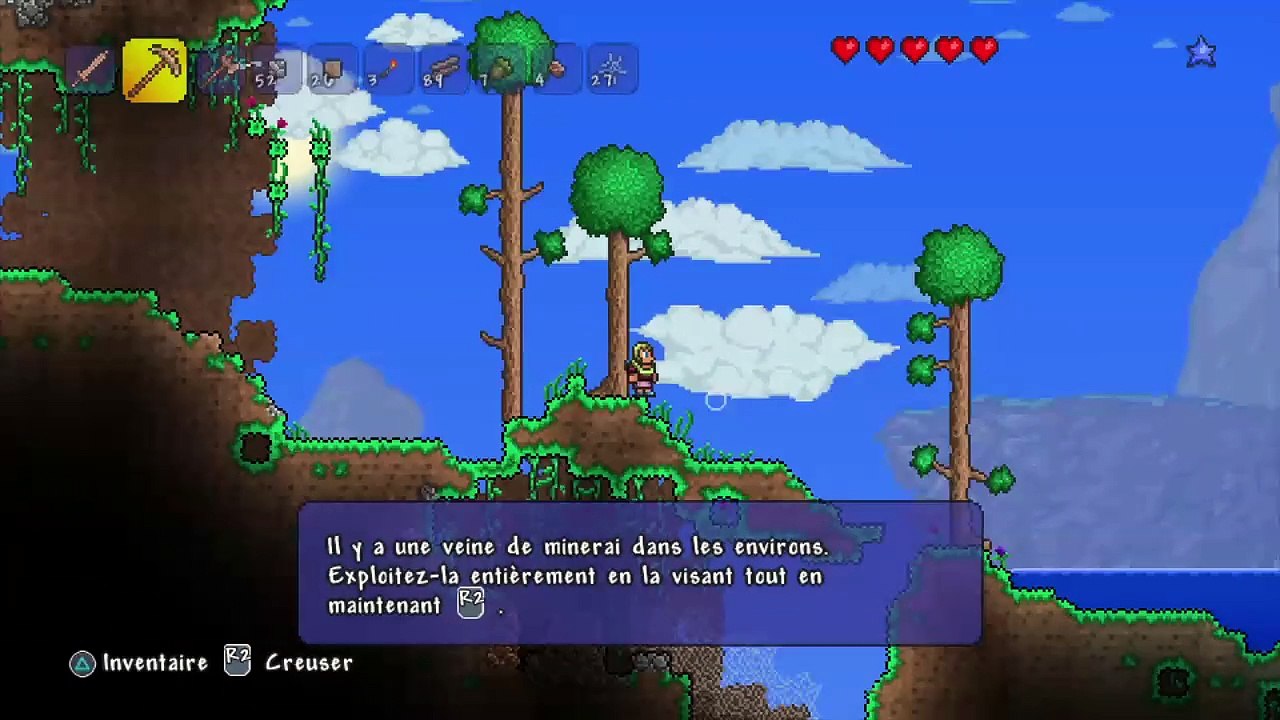 Terraria online multiplayer - ps3