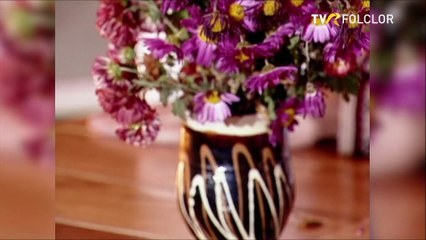 Geta Postolache - Ionel, Ionelule (arhiva TVR)