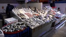 Karadeniz'de balık türleri tehlike altında