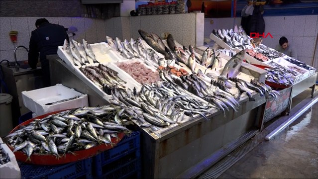 Karadeniz'de balık türleri tehlike altında