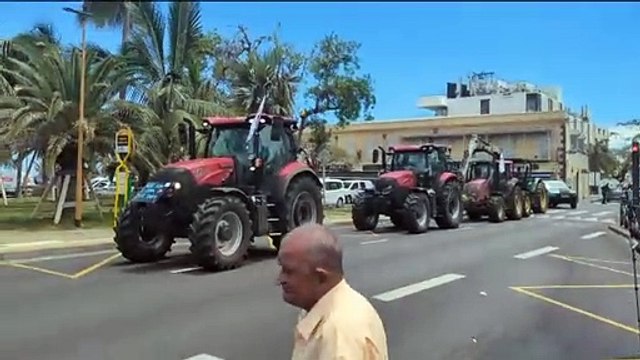 Agriculture : Trois heures après avoir quitté Bois-Rouge, le convoi Est fait son entrée