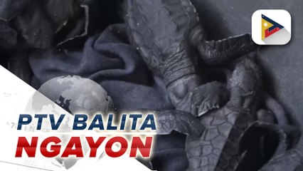 Senado, sinimulan na ang pag-imbestiga sa kontrobersyal na People's Initiative