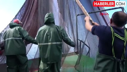 Karadeniz'de Balık Türleri Azalıyor