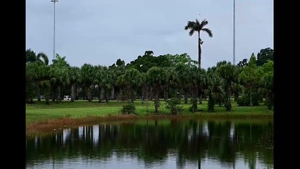 Al-Asr (The Time) سورة العصر