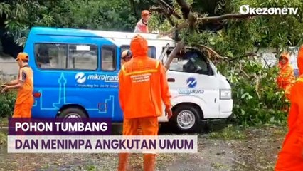 Tải video: Hujan Deras dan Angin Kencang Sebabkan Pohon Tumbang dan Menimpa Angkutan Umum