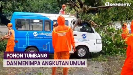 Hujan Deras dan Angin Kencang Sebabkan Pohon Tumbang dan Menimpa Angkutan Umum