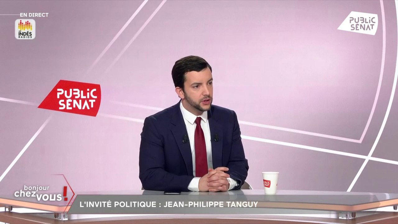 Jean-Philippe Tanguy (RN) : "Monsieur Fesneau dit beaucoup de bêtises"