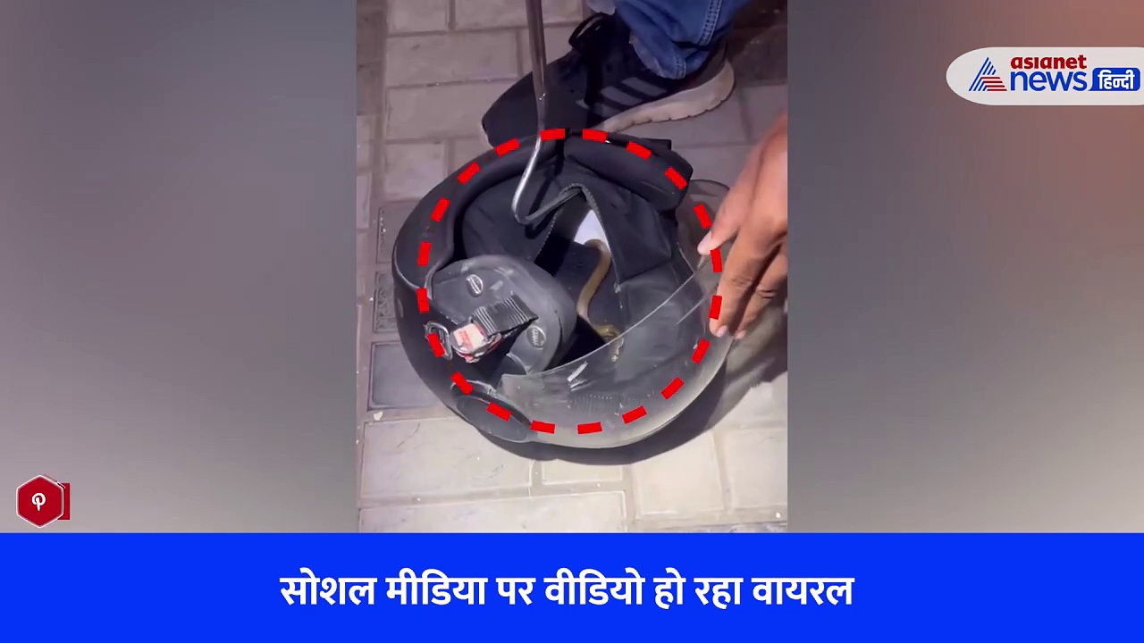 Viral Video: हेलमेट में बैठा सांप देखकर लोग हुए हैरान, कड़ी मशक्कत के बाद किया गया रेस्क्यू