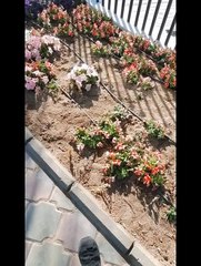 Mon 72 ème pays de mon tour du monde de l'aventure Koweït