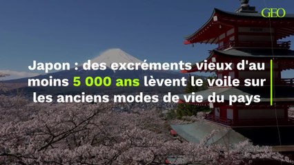 Japon : alimentation, maladies… Des excréments vieux d'au moins 5 000 ans lèvent le voile sur les anciens modes de vie du pays