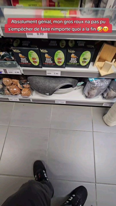 Je teste un lit pour chats   en forme de donut  #essai #teste #magasinaction #action #animaux #chat #lit #panier