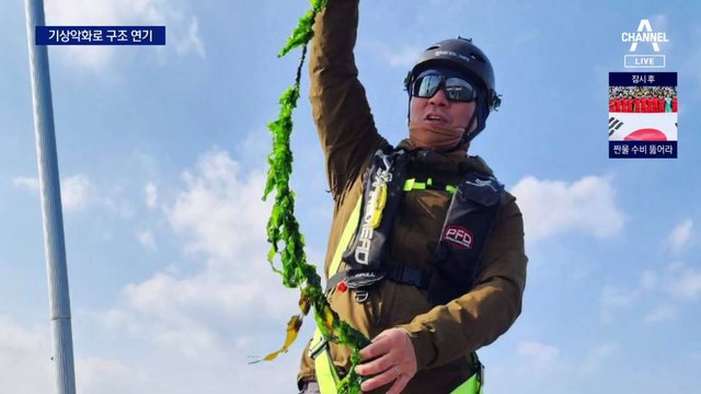 새끼 돌고래 구조작전, 기상 악화로 연기