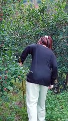 এরা দুইজন মিলে কি করলো দেখুন একবার #shortvideo #shorts #funny