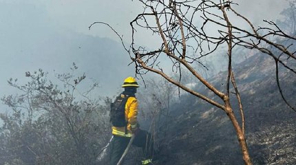 Labores de bomberos en Bogotá continúan con poco descanso por emergencia de incendios