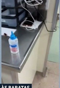 Baratas são flagradas espalhadas em unidade de saúde