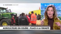 Céline Pina : «Le politique a intérêt à jouer la montre, parce que les agriculteurs ne peuvent pas tenir»