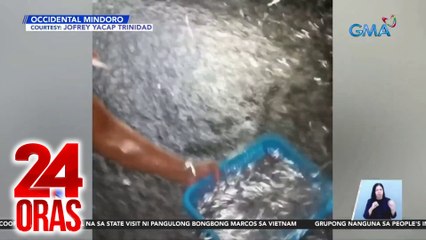 Download Video: Supply ng galunggong, kaunti kaya mataas ang presyo; bangus at tilapia, nagmahal din | 24 Oras