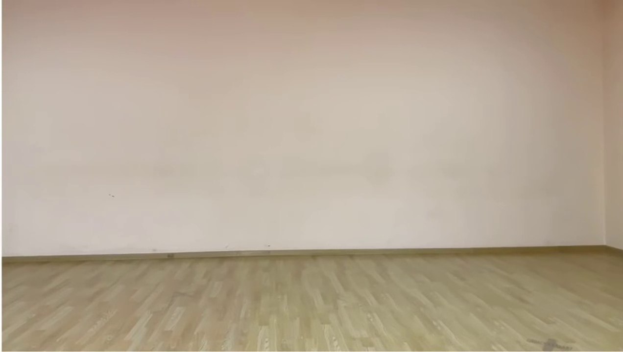 Aigerim belly dancer(480p)