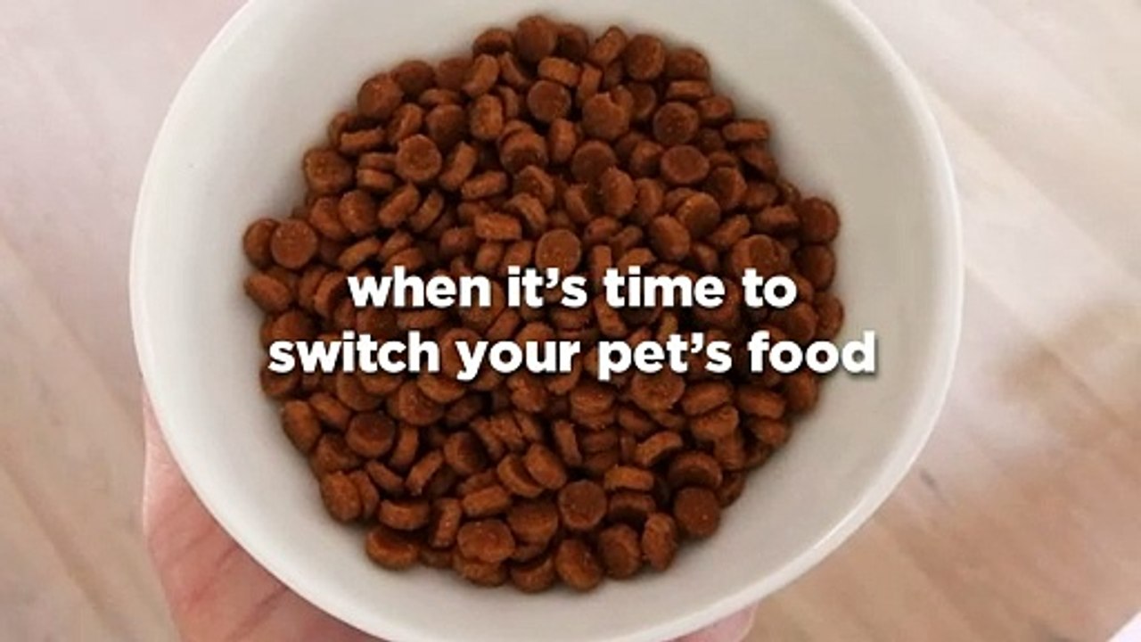 Hill's Science Diet Dry Cat Food, Adult, Sensitive Stomach & Skin, Chicken & Rice Recipe