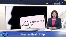 Musk's Neuralink Implants First 'Telepathy' Chip in Human Brain