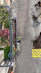 Peleas y conflictos en un narcopiso de l'Eixample