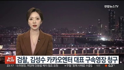 '바람픽쳐스 고가인수 의혹' 김성수 카카오엔터 대표 구속영장