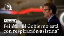 Feijóo asegura que 