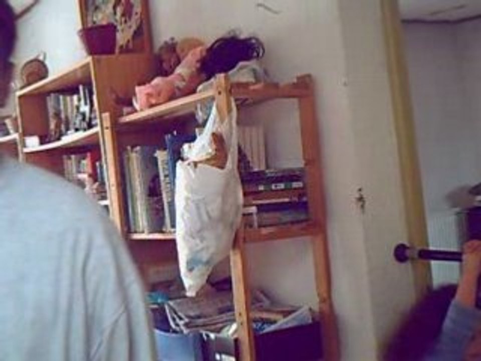 Folie,tarés,débiles, BIENVENUE chez les cinglés